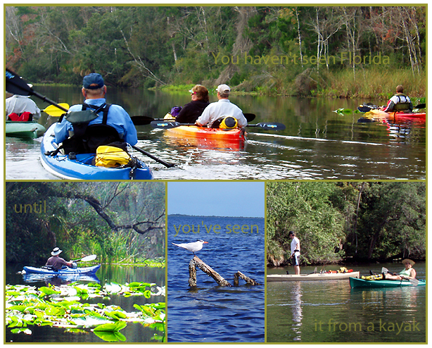 You haven't seen Florida 'til you've seen it from a kayak