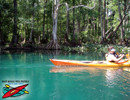 Silver River State
Park