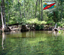 Silver River State
Park