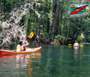 Silver River State
Park