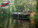 Alexander Springs