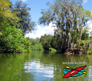 Saddle Creek Park