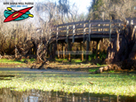 Hillsborough River