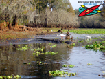 Hillsborough River