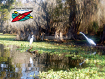Hillsborough River