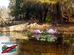 Hillsborough River