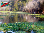 Hillsborough River