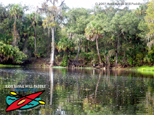 Hillsborough River