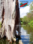Saddle Creek Park