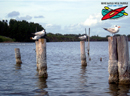 Haulover Canal, Mosquito
Lagoon, Indian River Lagoon