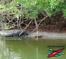 Tenoroc Fish Management
Area