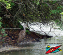 Tenoroc Fish Management
Area