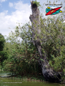 Tenoroc Fish Management
Area