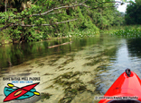 Wekiva River
