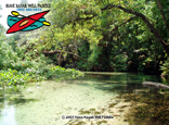 Wekiva River